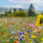 Lodge Nature Village – N°20 – 4 Personnes Bullange