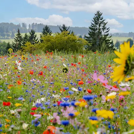 Lodge Nature Lake Village - Villa N°20 - 4 Personnes Büllingen