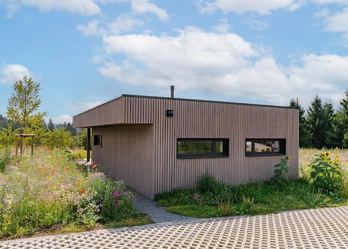 Lodge Nature Village - Silky N°20 - 4 Personnes Avec Jacuzzi *