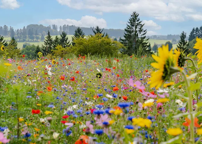 Lodge Nature Lake Village - Villa N°20 - 4 Personnes Bullange